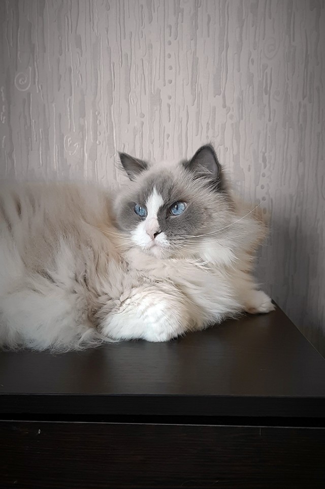 Необычный цвет глаз