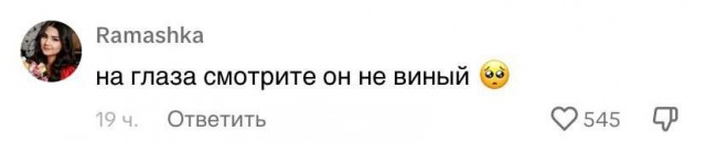 Перепись отбросов