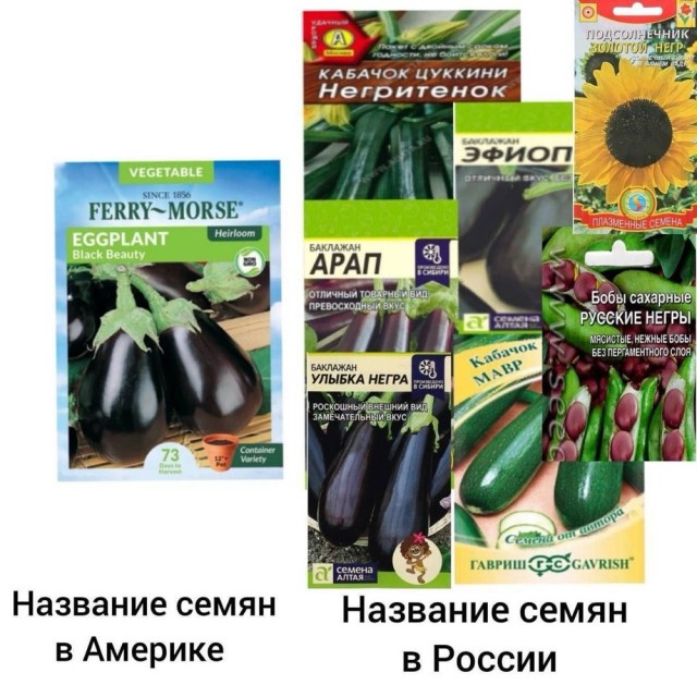 Околокулинарные картинки