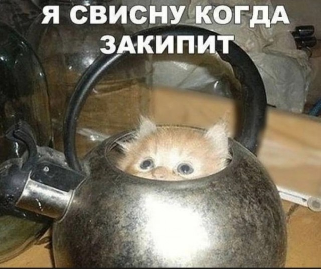 Так себе картинки 17.10.24