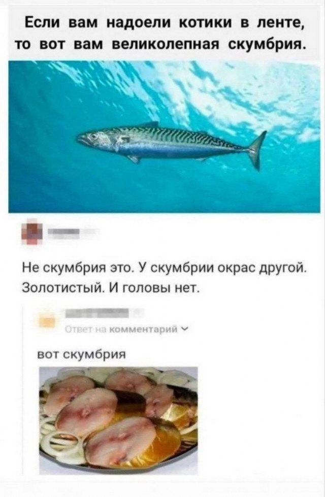 Сегодня день другой девушки мем