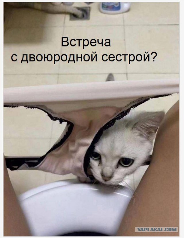 Маленькая пятница 9.04.25