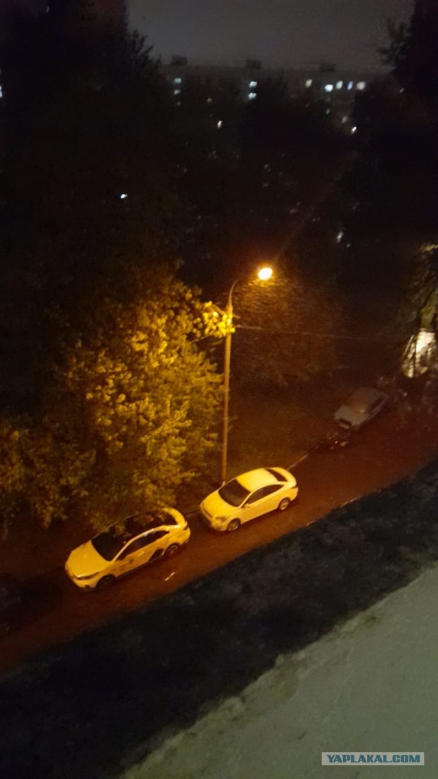 Погода в доме