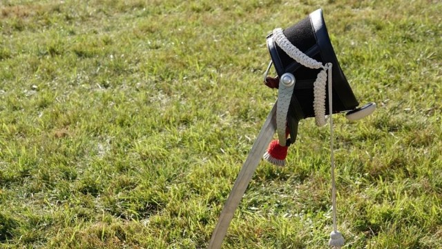 Генетики раскрыли причины массовой гибели солдат армии Наполеона во время отступления из России в 1812 году.