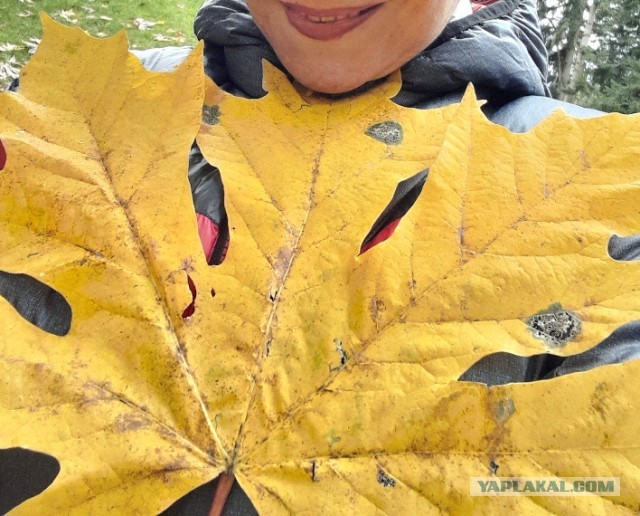 Техас готов к Хэллоуину