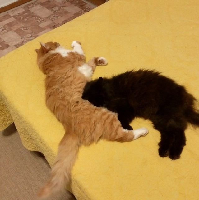 Оглянись, незнакомый прохожий