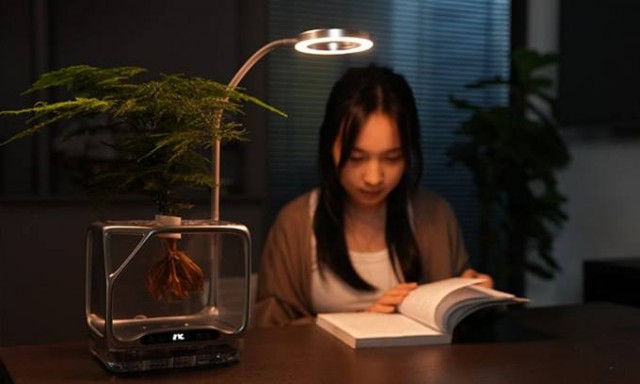 В Поднебесной выпустили цветочный горшок будущее