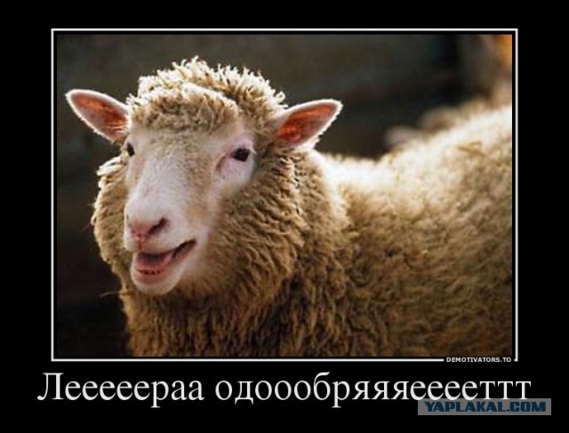 Эпическое признание в любви...