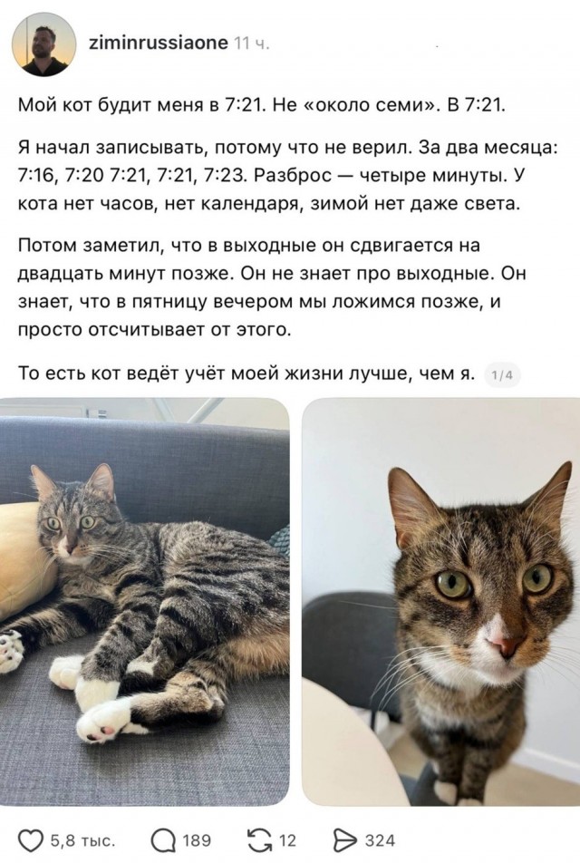 Так себе картинки 07.09.26