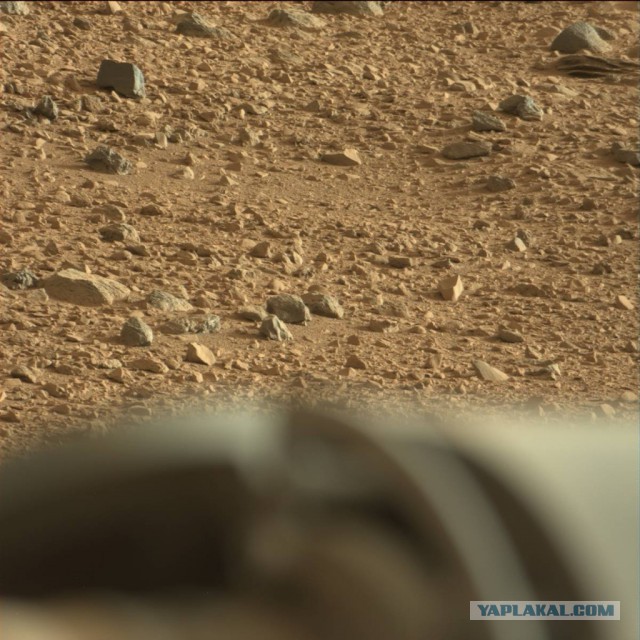 Затемненный объект на фото с Марса