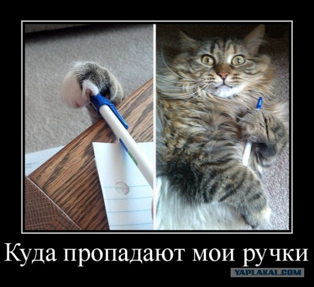 Просто картинки