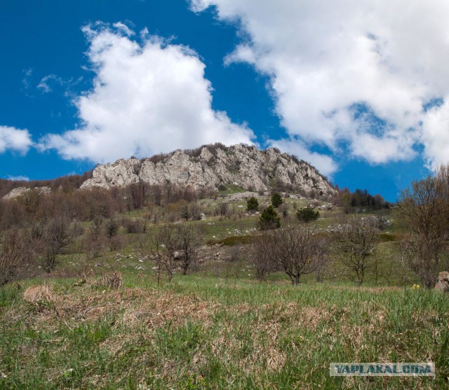 Крымские горы. Май 2015