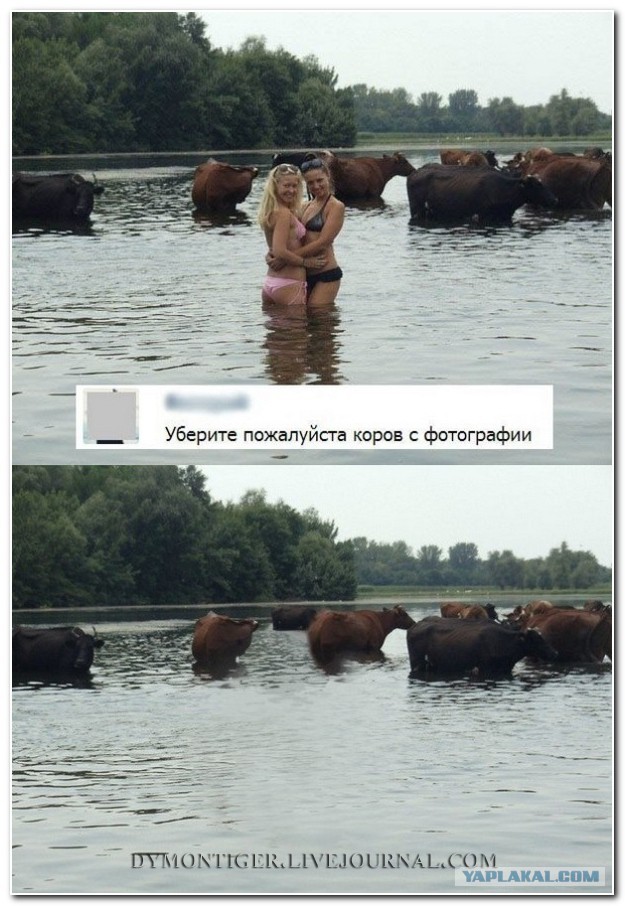 Смешные коментарии