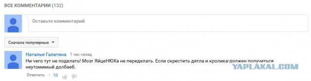 Очередное выступление Яйценюха в Германии