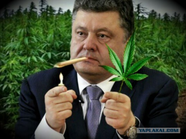 Что курят в стране 404?