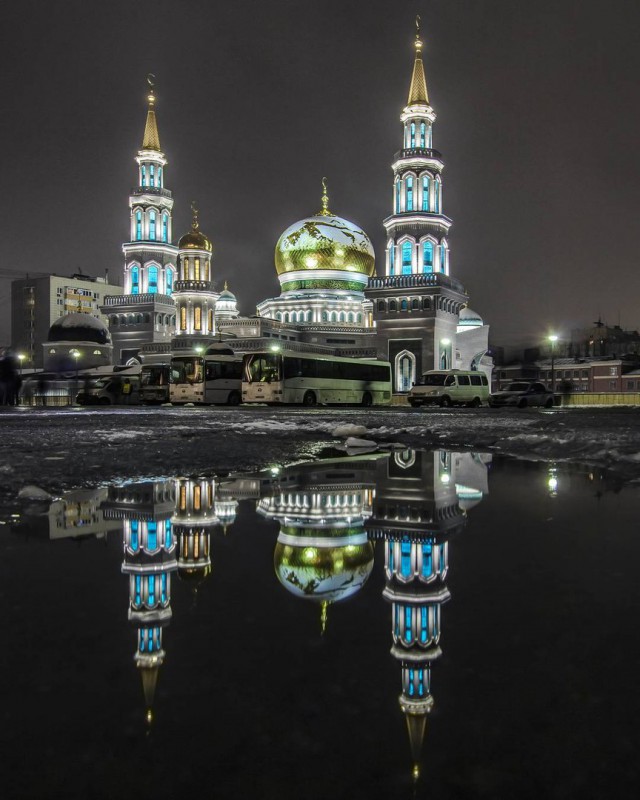 Моменты, запечатлённые на фото и просто позитив 5