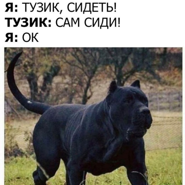 Подборка интересных и веселых картинок