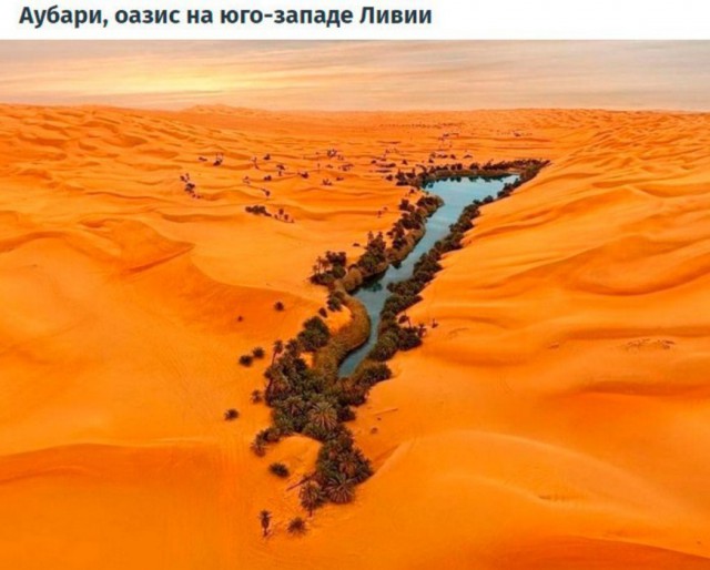 Подборка интересных и веселых картинок