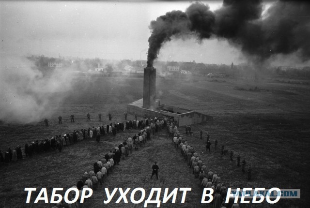 Единственный пост в поддержку цыган. Толерантности пост