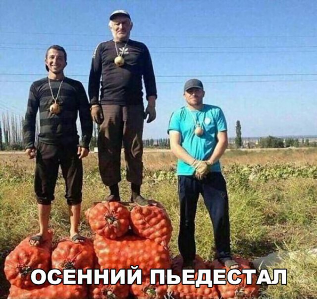 100 картинок для поднятия настроения!