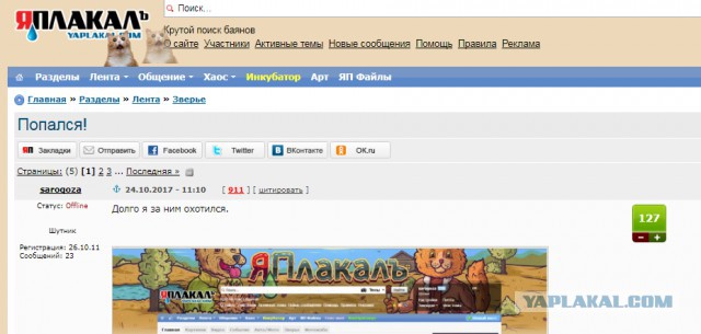 Попался!