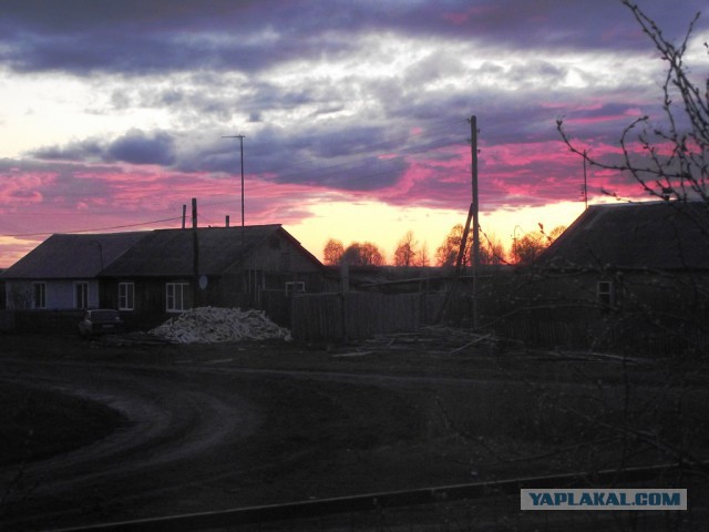 Просто Природа