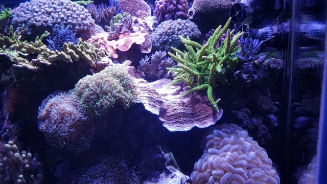 Просто Природа