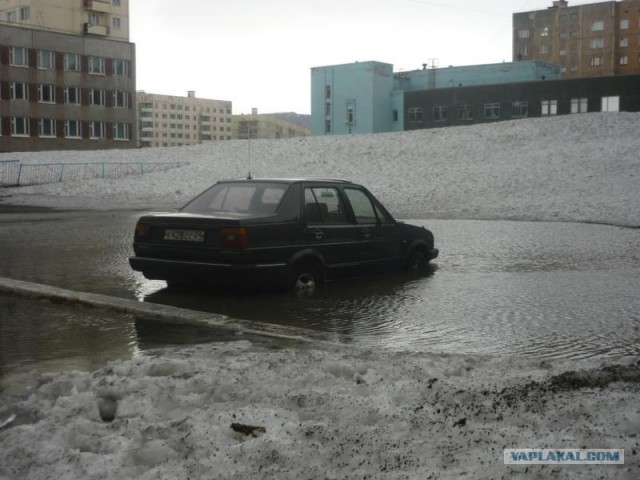 Подснежники гробы. г. Норильск