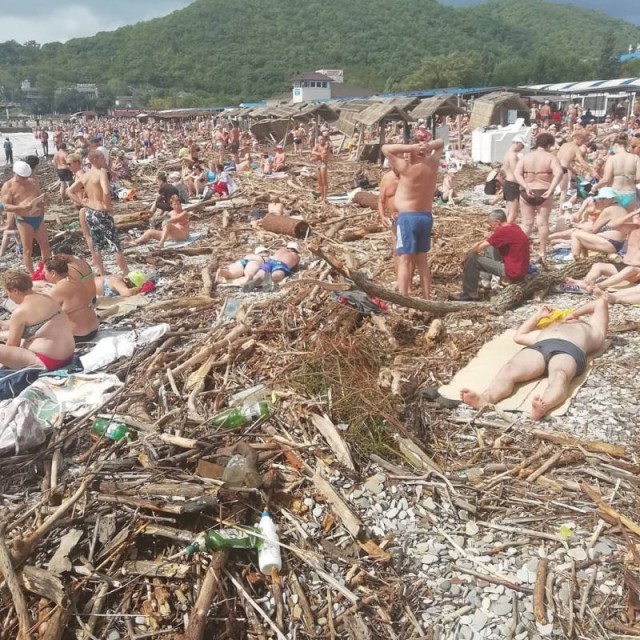 Лента прикольных картинок
