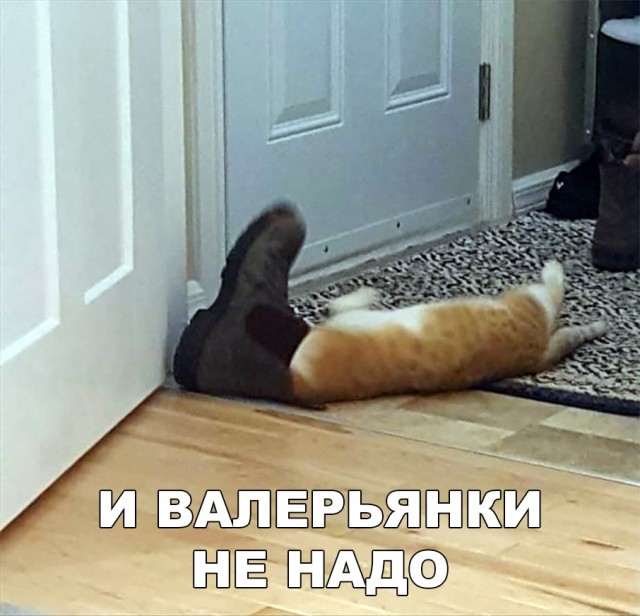 Немного милоты
