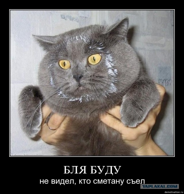 Застукали на месте преступления