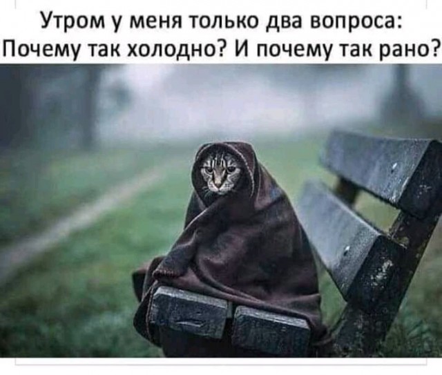 Картинки разные атавсюду...