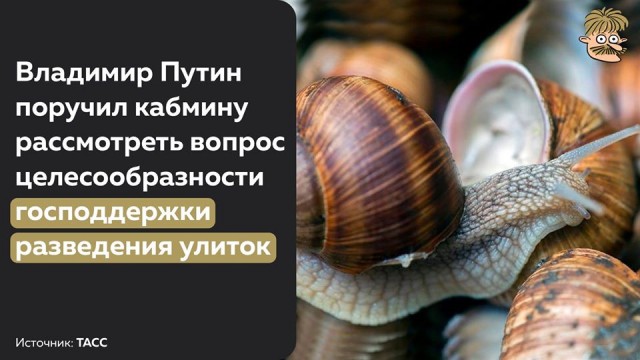 Нефти стало плохо