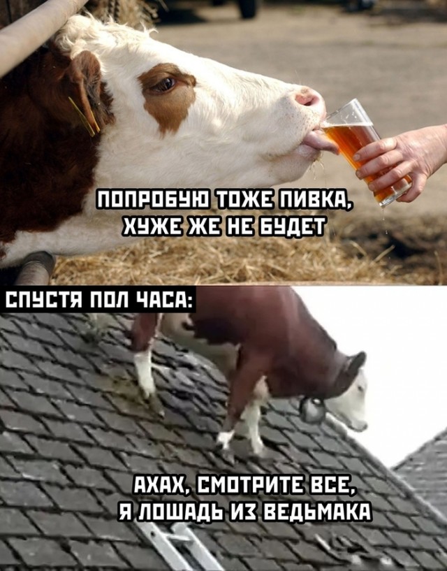 Так себе картинки 07.07.20