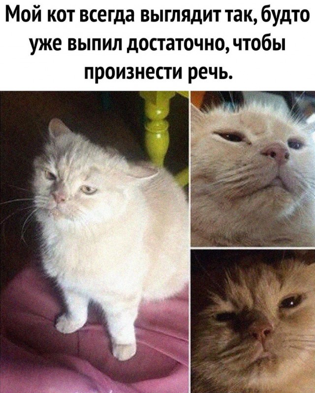 Чуток картинок 24.07.20