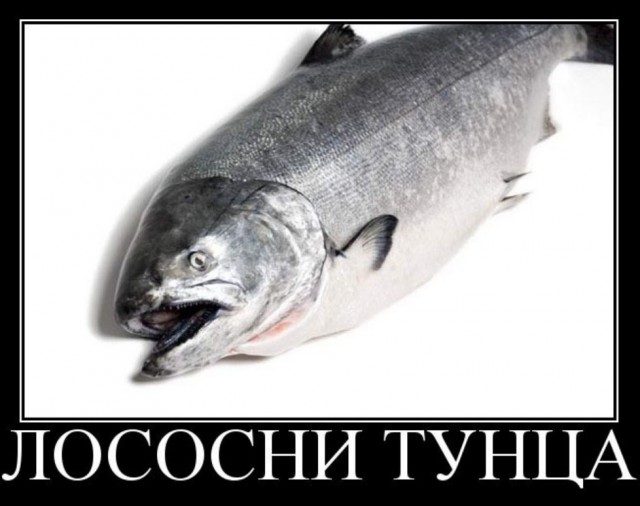 Бредзона 20.09.20