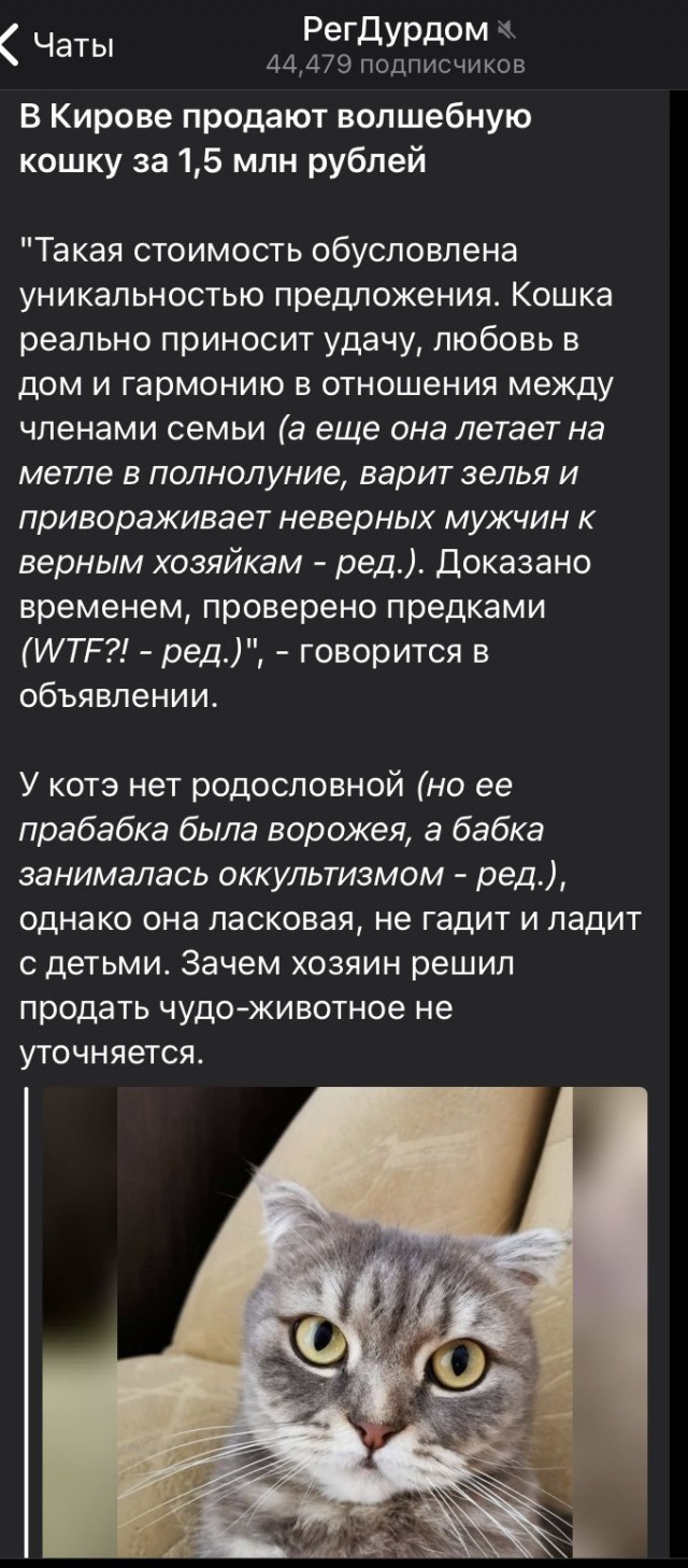Бредзона 26.10.2020