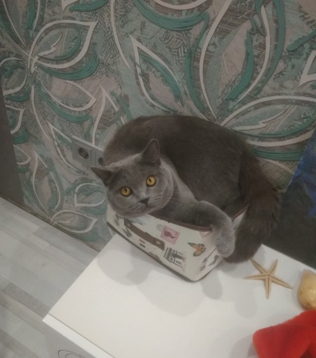 Заботливая мамочка