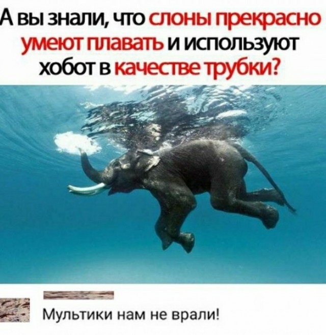Картинки с надписями и всякие жизненные фразы 1.05.21