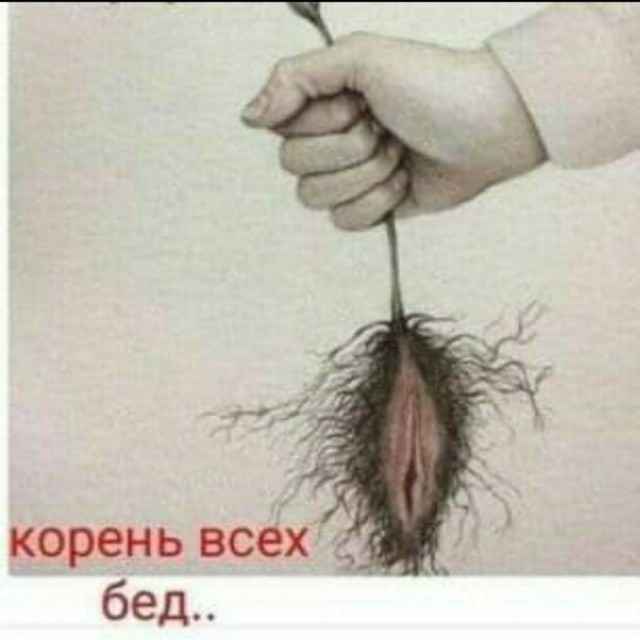 Баянисто-небаянистый юмор 15.05.21