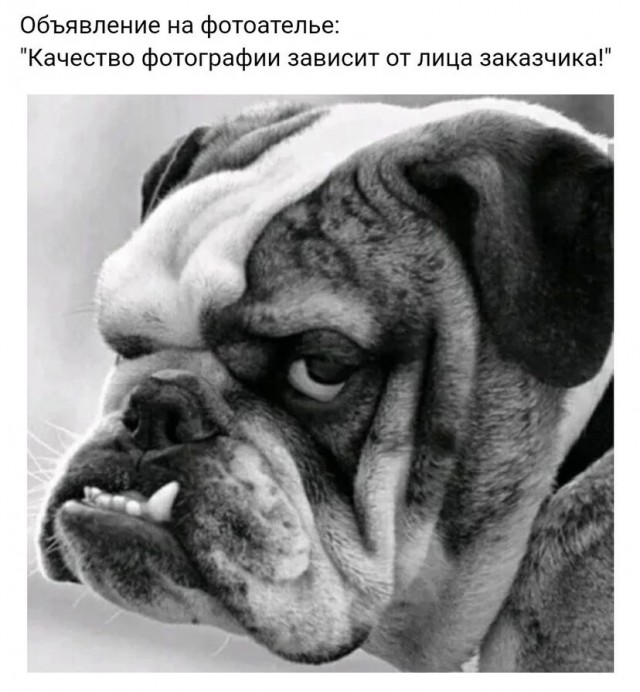 Весёлый полтишок 8.08