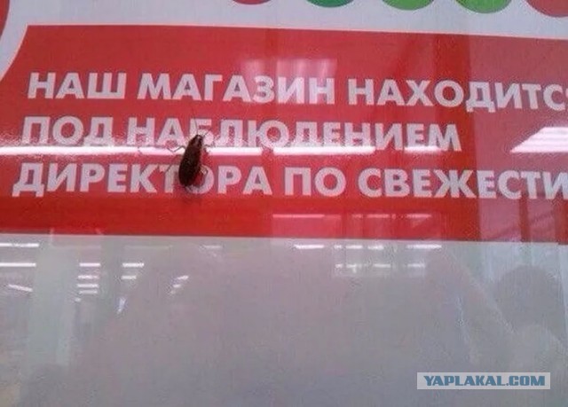 У 5ки, Магнита и Дикси и др. потребовали снизить цены на продукты