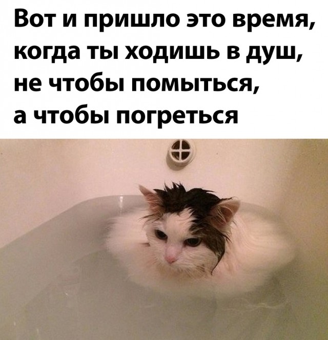 Так себе картинки 17.11.21