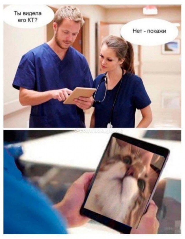 Ты видела его КТ?