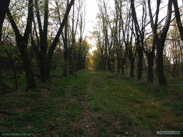 Чернобыль - 2