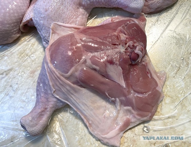 Солатеговая тема