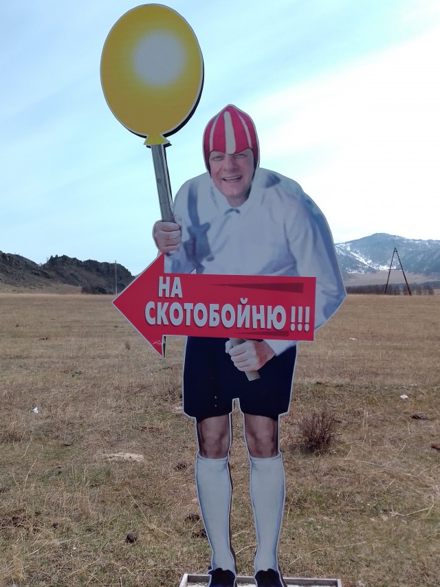 Грызёт семечки. Не сдавать!