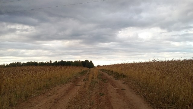 Просто любительские фото
