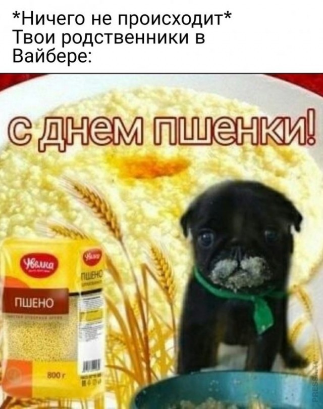 Картинки и мемы. Выходные близко, близко...