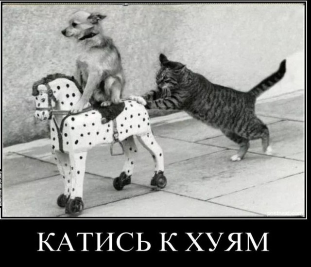 Жгите костры, спите на улице.
